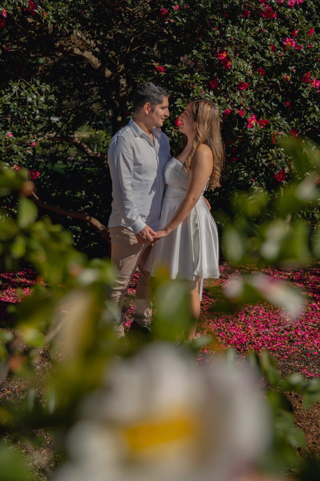 Fotografía 18